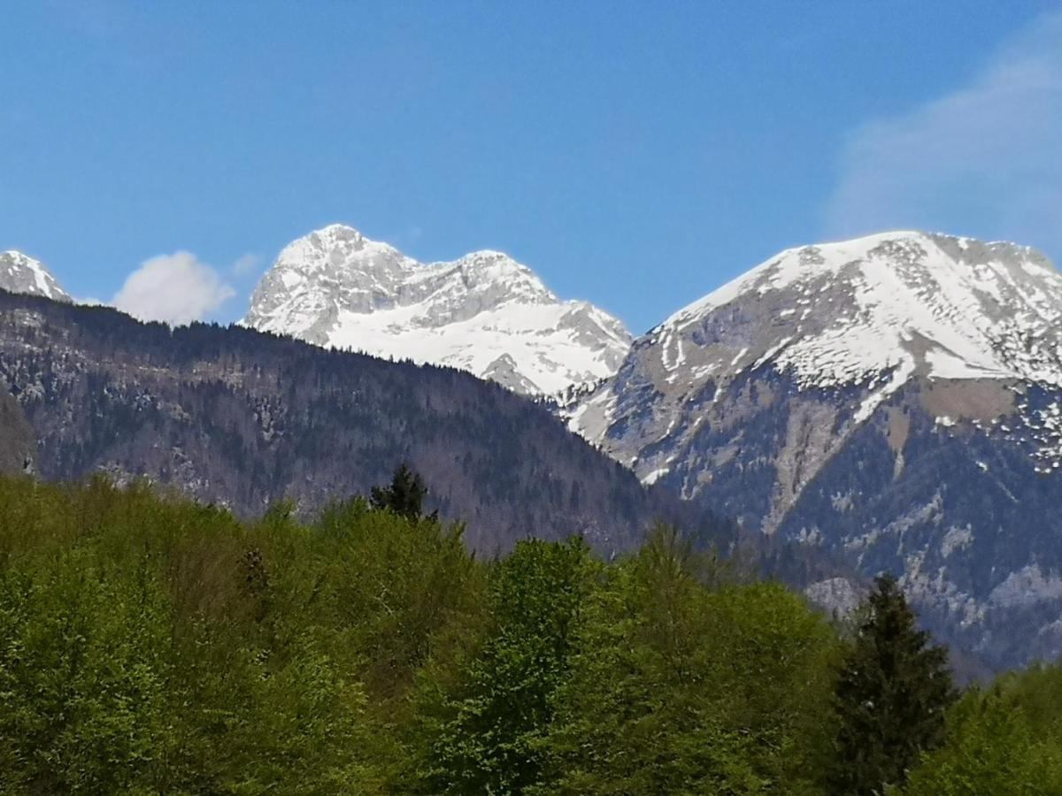 Ferienwohnung Apartmaji Prezelj Bohinj Exterior foto